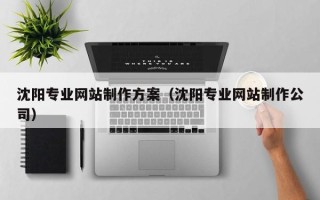 铜川沈阳专业网站制作方案（沈阳专业网站制作公司）